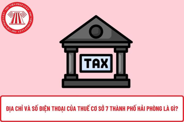 Pháp luật