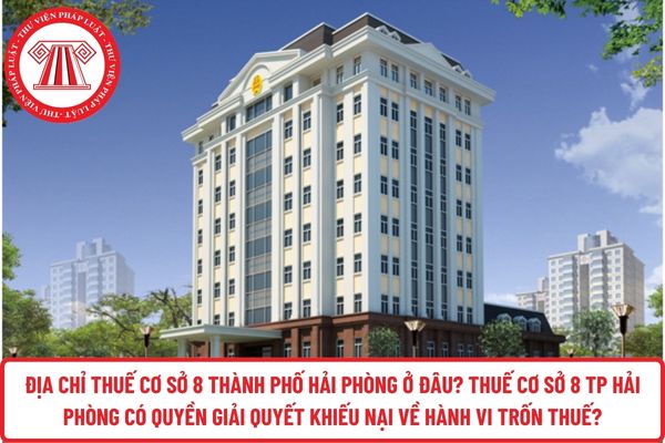 Pháp luật