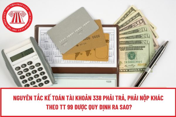 Pháp luật
