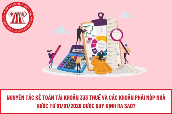 Pháp luật