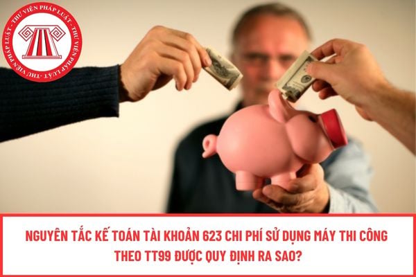Pháp luật