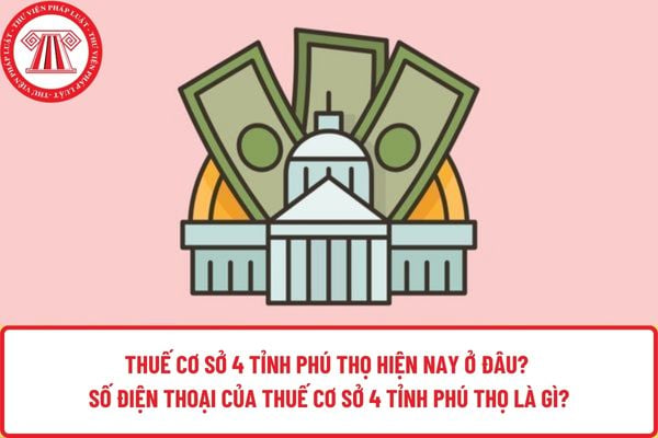 Pháp luật