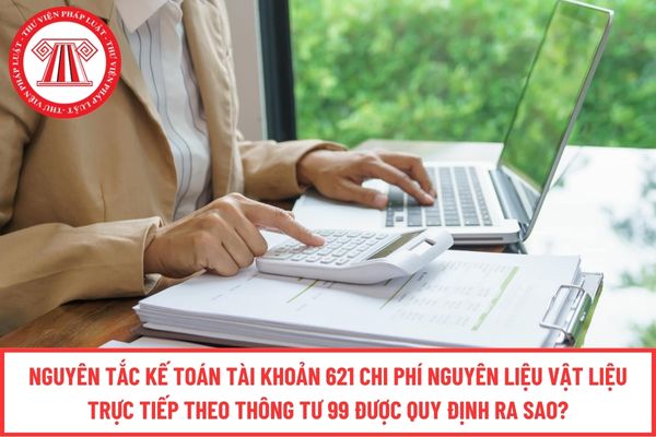 Pháp luật