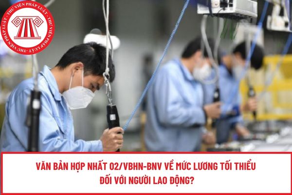 Pháp luật