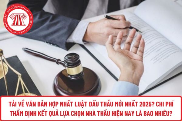 Tải về văn bản hợp nhất Luật Đấu thầu mới nhất 2025? Chi phí thẩm định kết quả lựa chọn nhà thầu hiện nay là bao nhiêu?