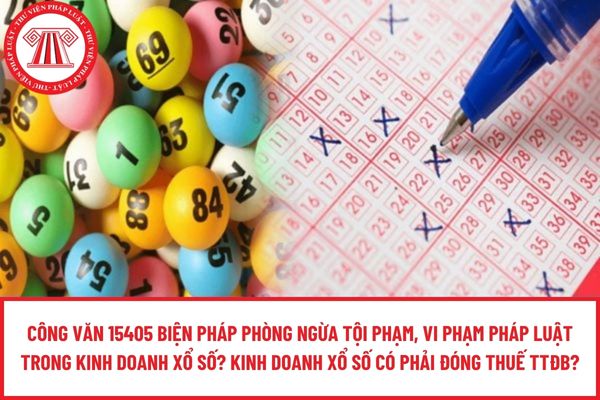 Pháp luật