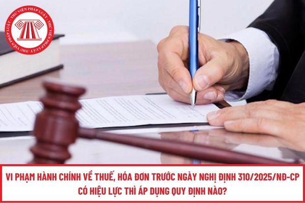 Pháp luật