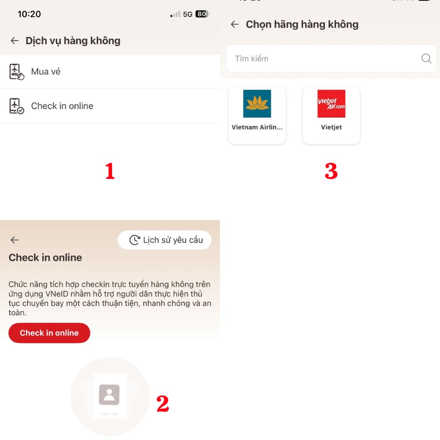Hướng dẫn check in online tại sân bay bằng ứng dụng VNeID?
