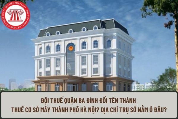 Pháp luật