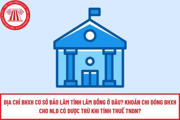 Pháp luật