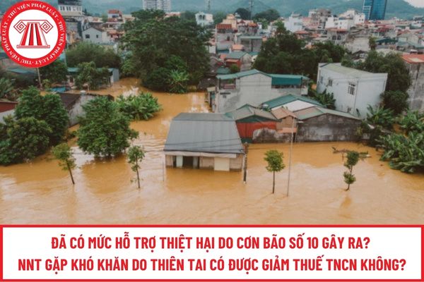 Pháp luật
