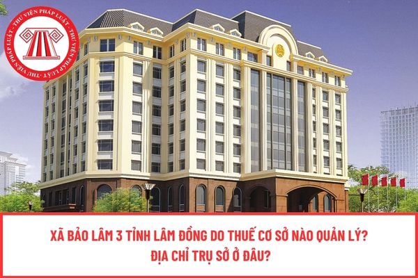 Pháp luật