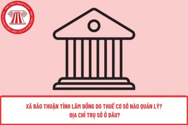 Pháp luật