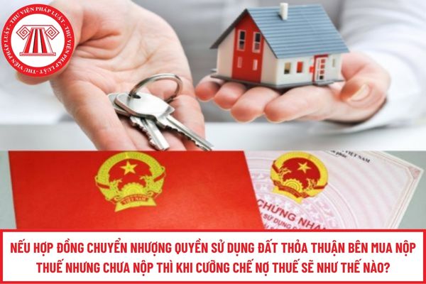 Pháp luật