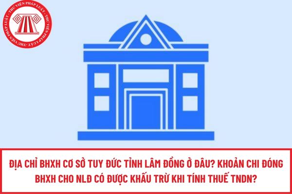 Pháp luật