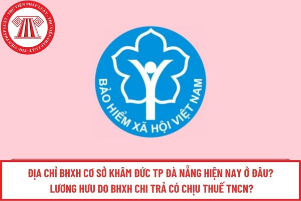 Pháp luật