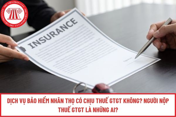 Pháp luật