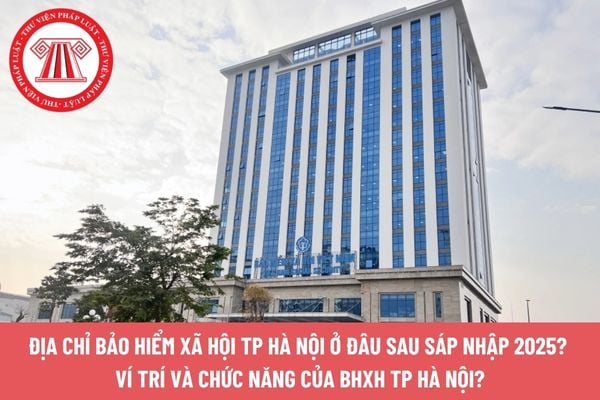 Pháp luật