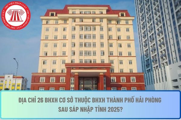 Pháp luật