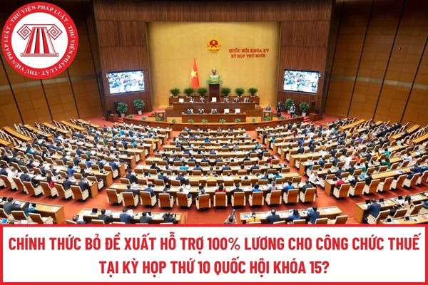 Pháp luật