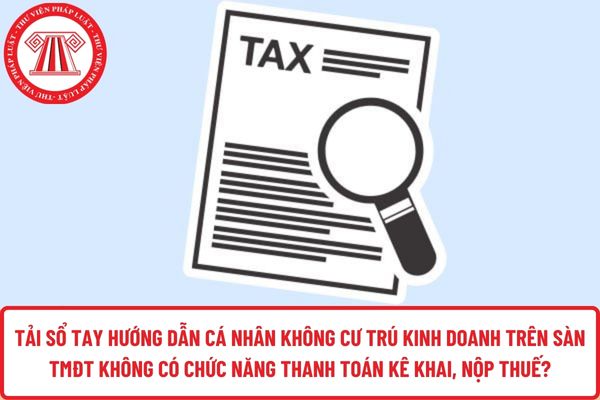 Pháp luật