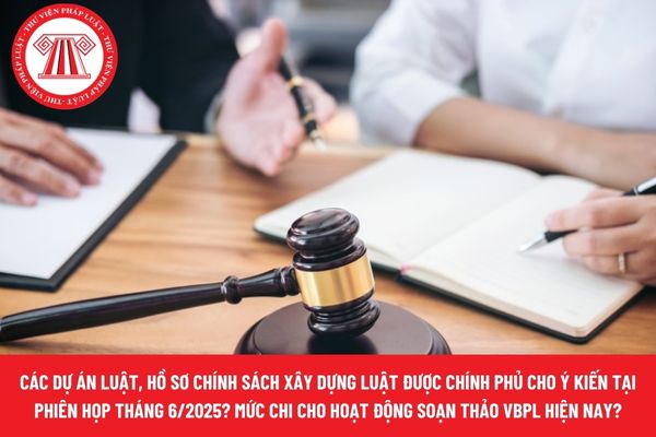 Pháp luật