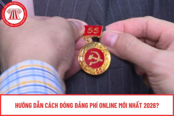 Pháp luật