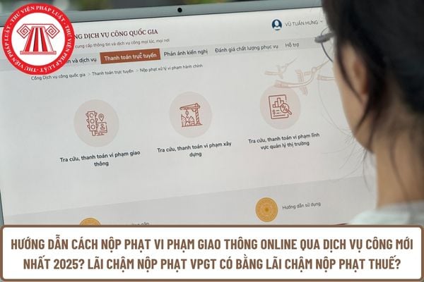 Pháp luật