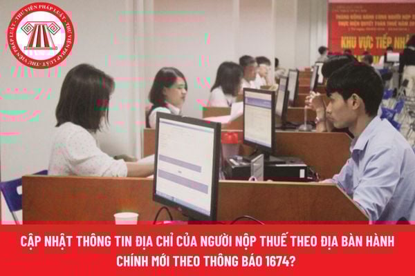 Pháp luật