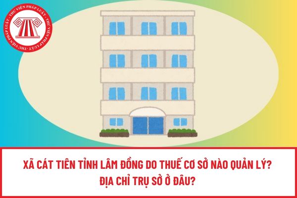 Pháp luật