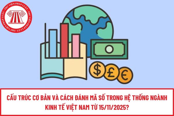 Pháp luật