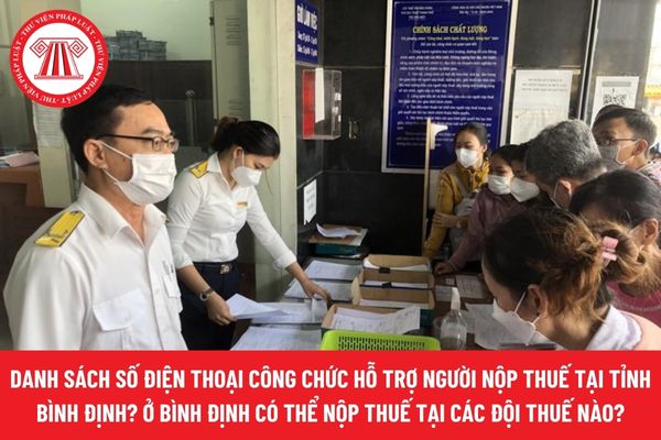Pháp luật