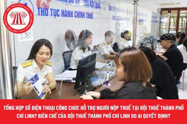 Pháp luật