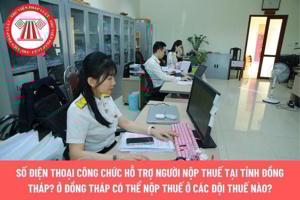 Pháp luật