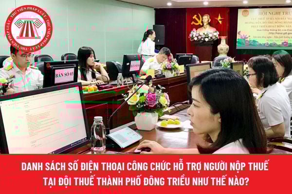 Pháp luật