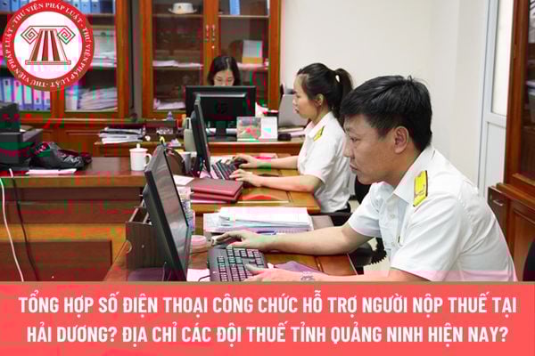 Pháp luật