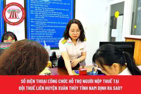 Pháp luật