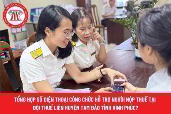 Pháp luật