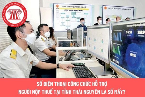 Pháp luật