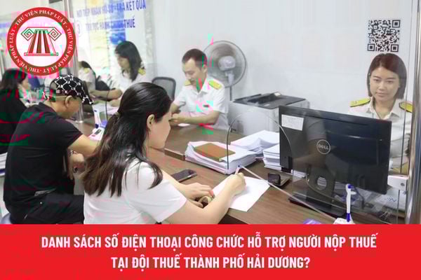 Pháp luật