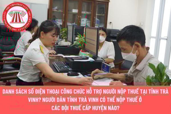 Pháp luật