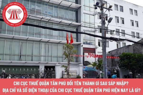 Pháp luật