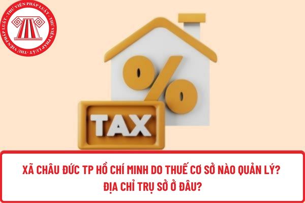 Pháp luật