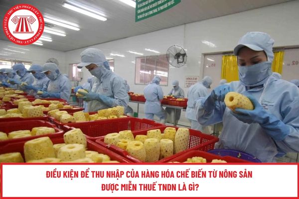 Điều kiện để thu nhập của hàng hóa chế biến từ nông sản được miễn thuế TNDN là gì?