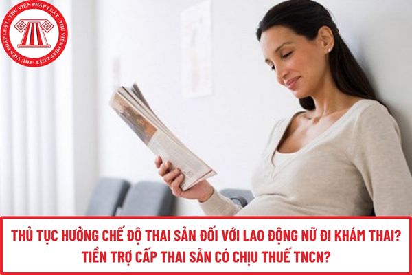 Pháp luật
