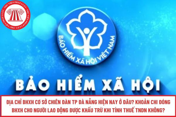 Pháp luật