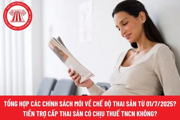 Pháp luật