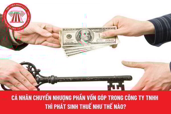 Pháp luật