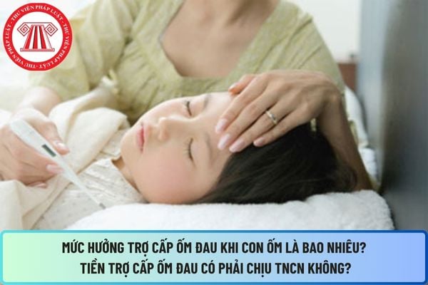Pháp luật