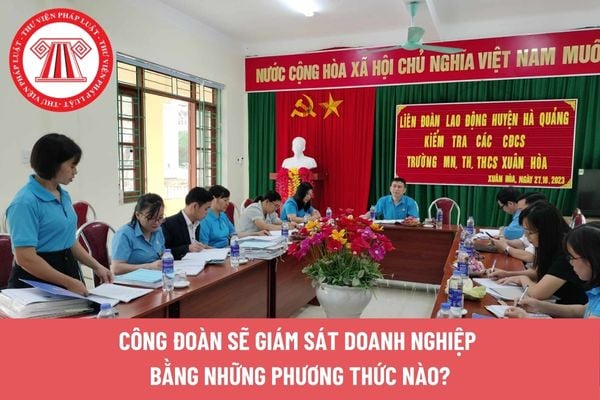 Hỏi đáp Pháp luật
